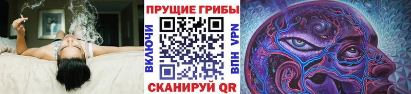 Псилоцибиновые грибы прущие грибы  где купить наркоту  Безенчук 